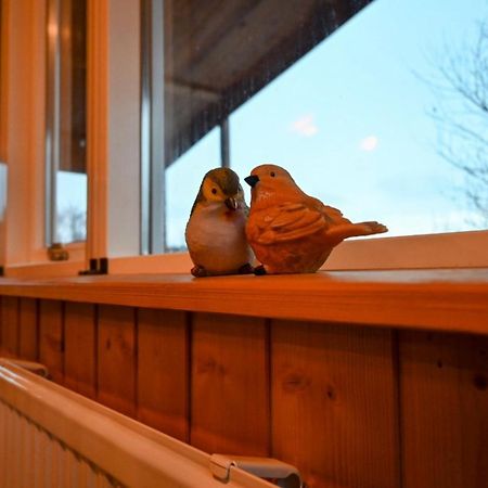 Thingvellir Cabin/Chalet Selfoss Exterior photo
